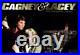 Cagney & Lacey Complete TV Series (ALL 125 EPISODES+ PILOT + MOVIES) NEW DVD SET