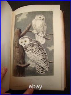 Complete 7 Volume J. J. Audubon Birds Of America 2nd Ed Set 1856-All 500 Plates