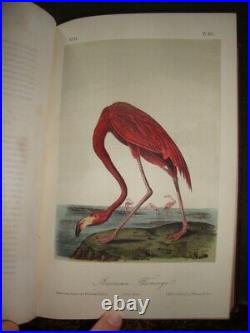 Complete 7 Volume J. J. Audubon Birds Of America 2nd Ed Set 1856-All 500 Plates