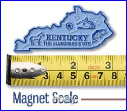 Original State Magnet Collector's Set 51 Magnets with Metal Display Board