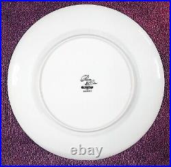 Princess China ELEGANCE White Platinum Ring 10 Plates/2 Platters/Gravy Boat/C+S